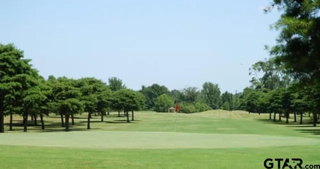 a big yard with lots of trees