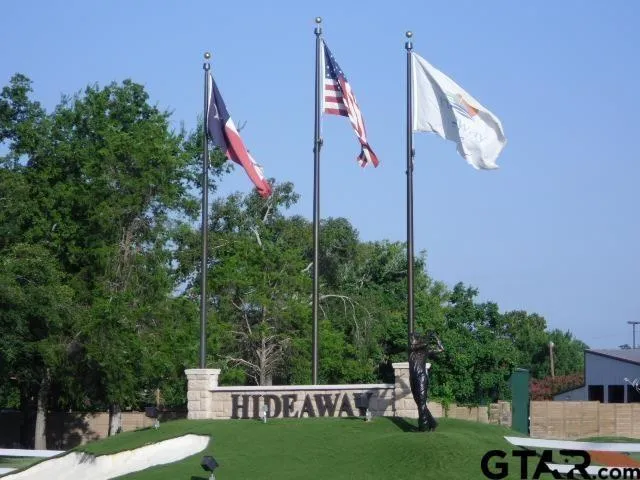 a view of a park with plants and trees
