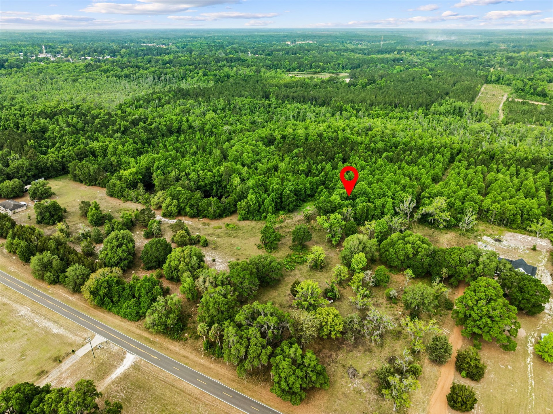 0 Kings Ferry Road Hilliard, FL 32046 - Photo 3 of 9 a view of a lush green field with lots of plants