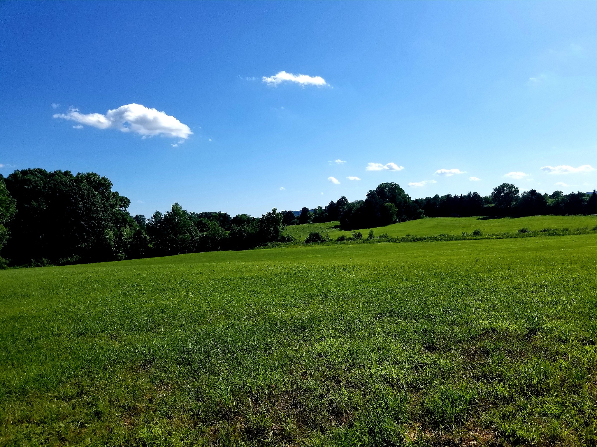 a view of a big yard