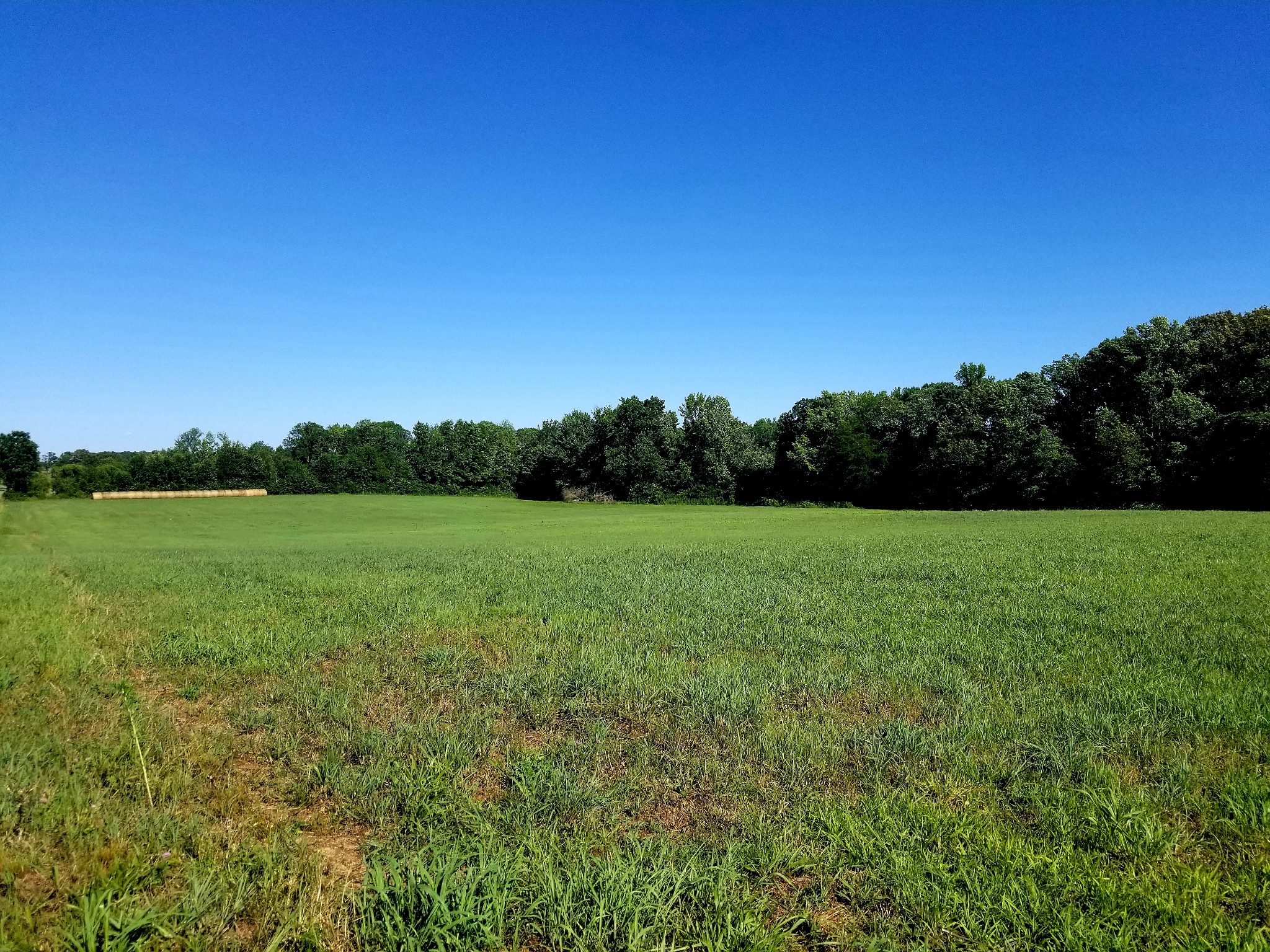 1 Banks Pisgah Road Smithville, TN 37166 - Photo 2 of 6 a view of a green field with wooden fence