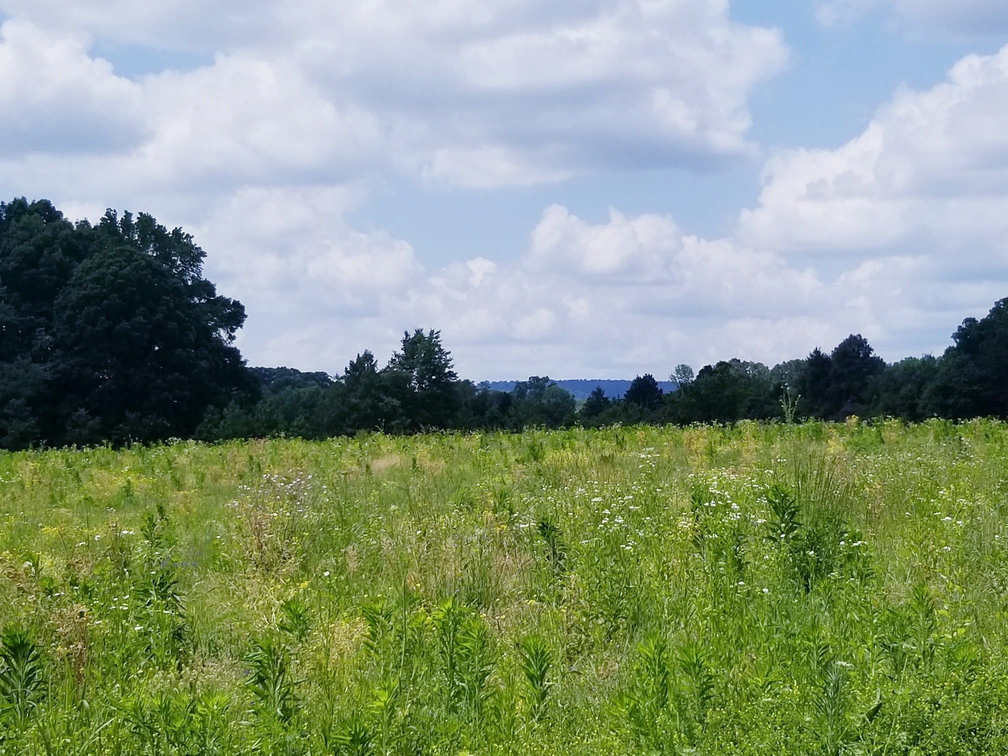 1 Banks Pisgah Road Smithville, TN 37166 - Photo 6 of 6 a view of lake and mountain