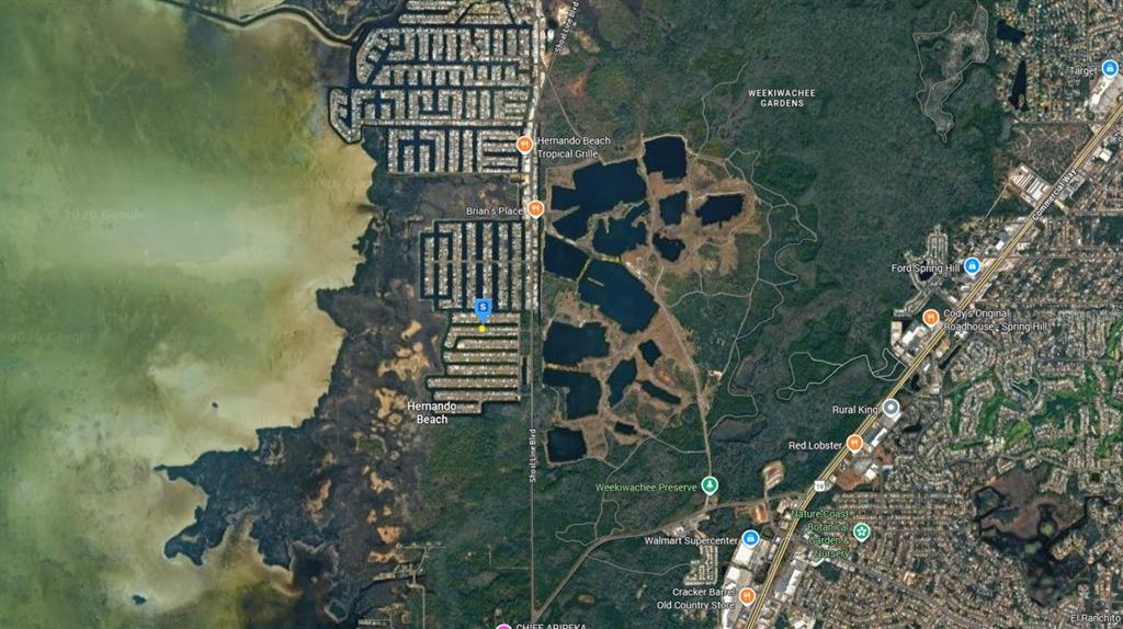 3487 Bluefish Drive Hernando Beach, FL 34607 - Photo 4 of 6