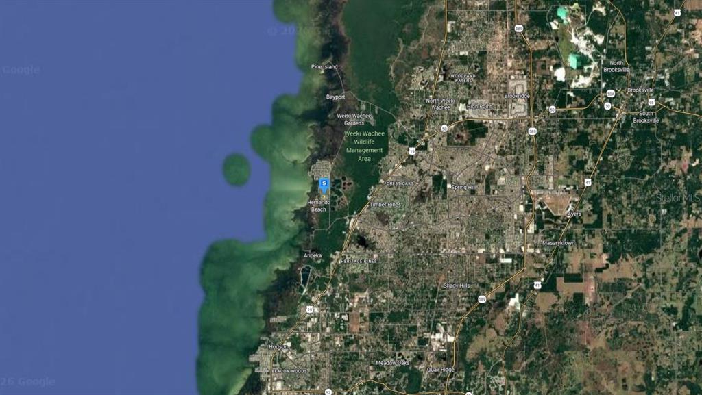 3487 Bluefish Drive Hernando Beach, FL 34607 - Photo 6 of 6