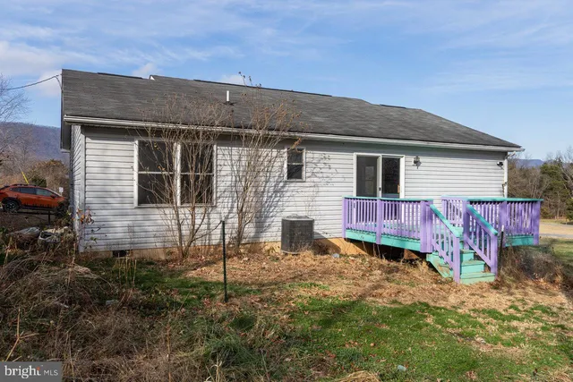 a view of backyard with large tree