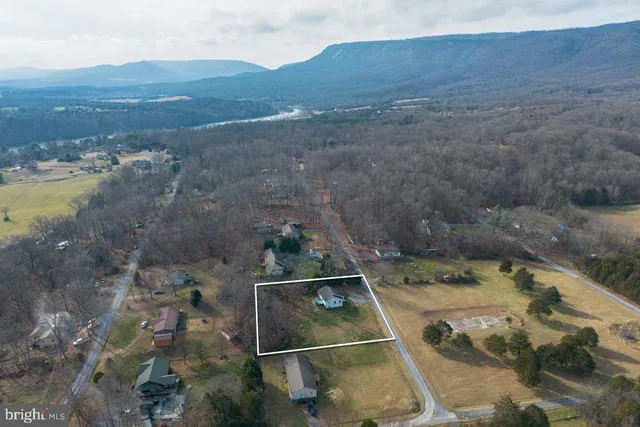 a house that has a tree in front of the house