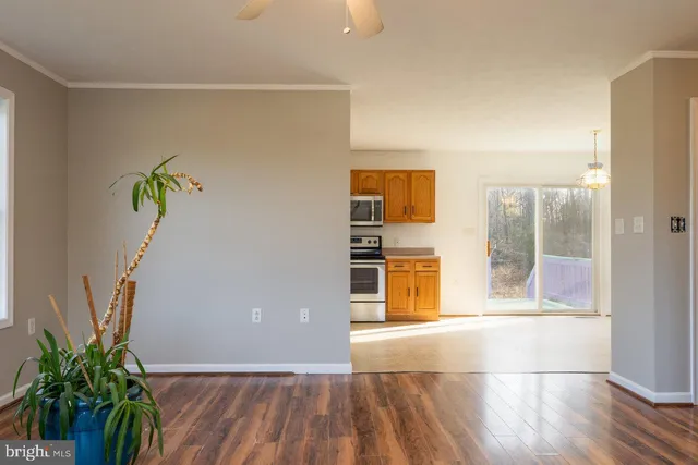 a view of empty room with wooden floor and a potted plant