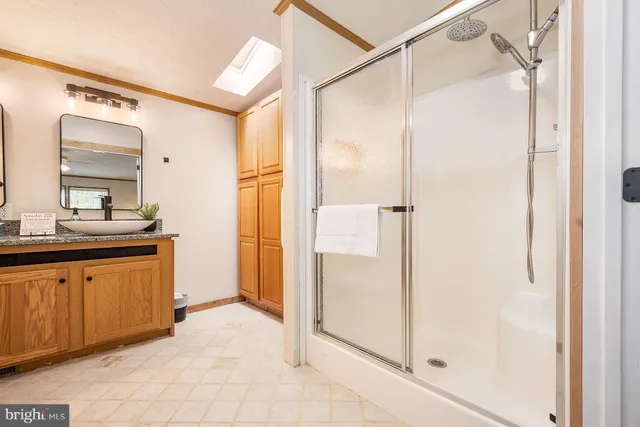 a bathroom with a double vanity sink a mirror and a shower
