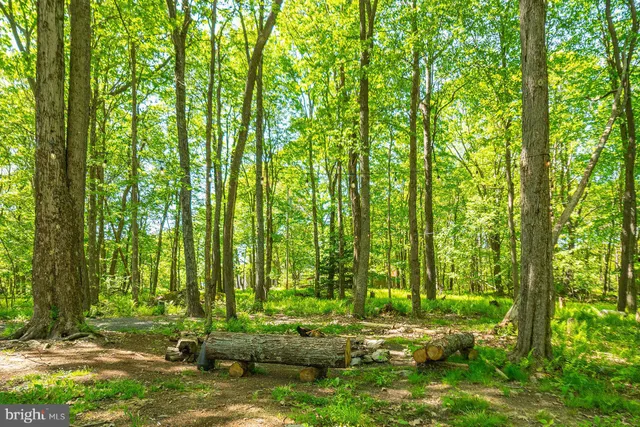 a view of backyard with green space