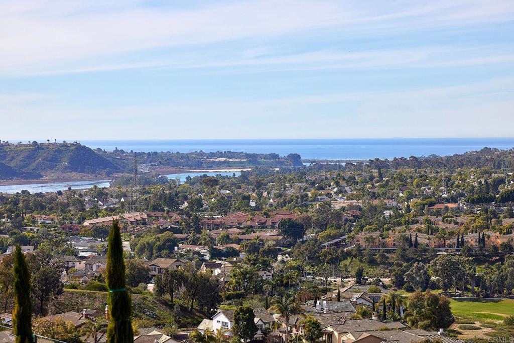 6895 Amber Lane Carlsbad, CA 92009 - Photo 43 of 45 an aerial view of residential house and trees