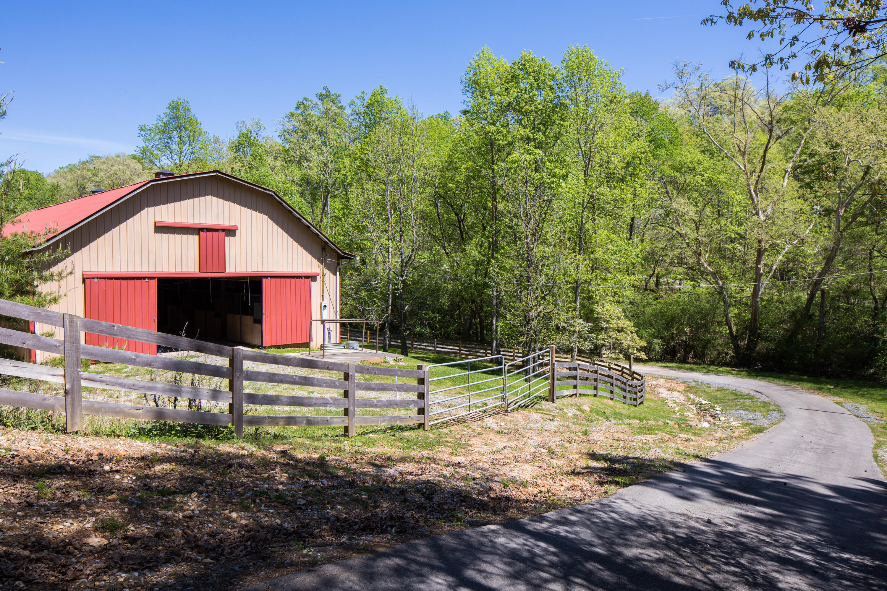 12627 Early Road Knoxville, TN 37922 - Photo 30 of 34 JamieHall-HousePhotos-059-_O5A9373