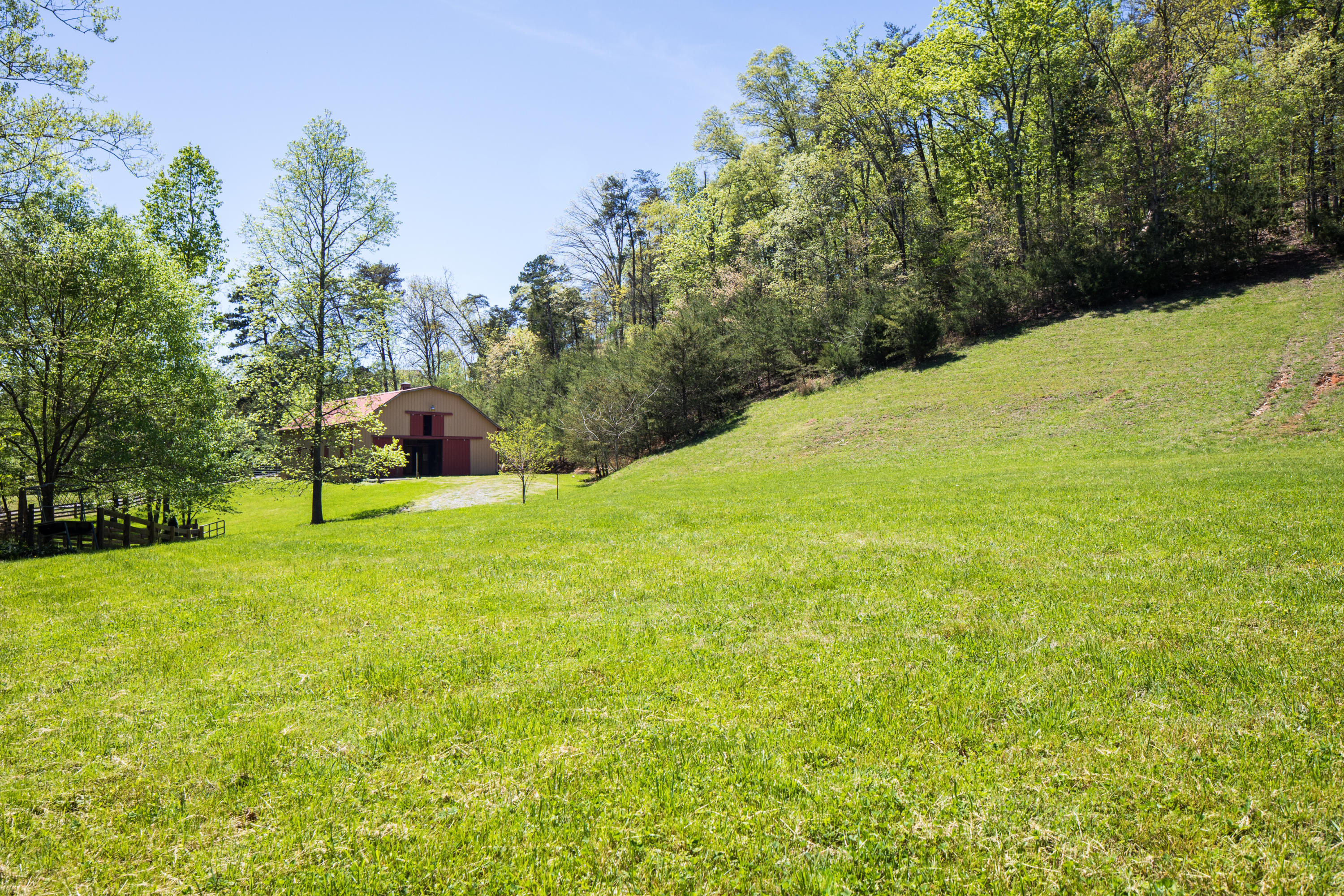 12627 Early Road Knoxville, TN 37922 - Photo 32 of 34 JamieHall-HousePhotos-062-_O5A9397