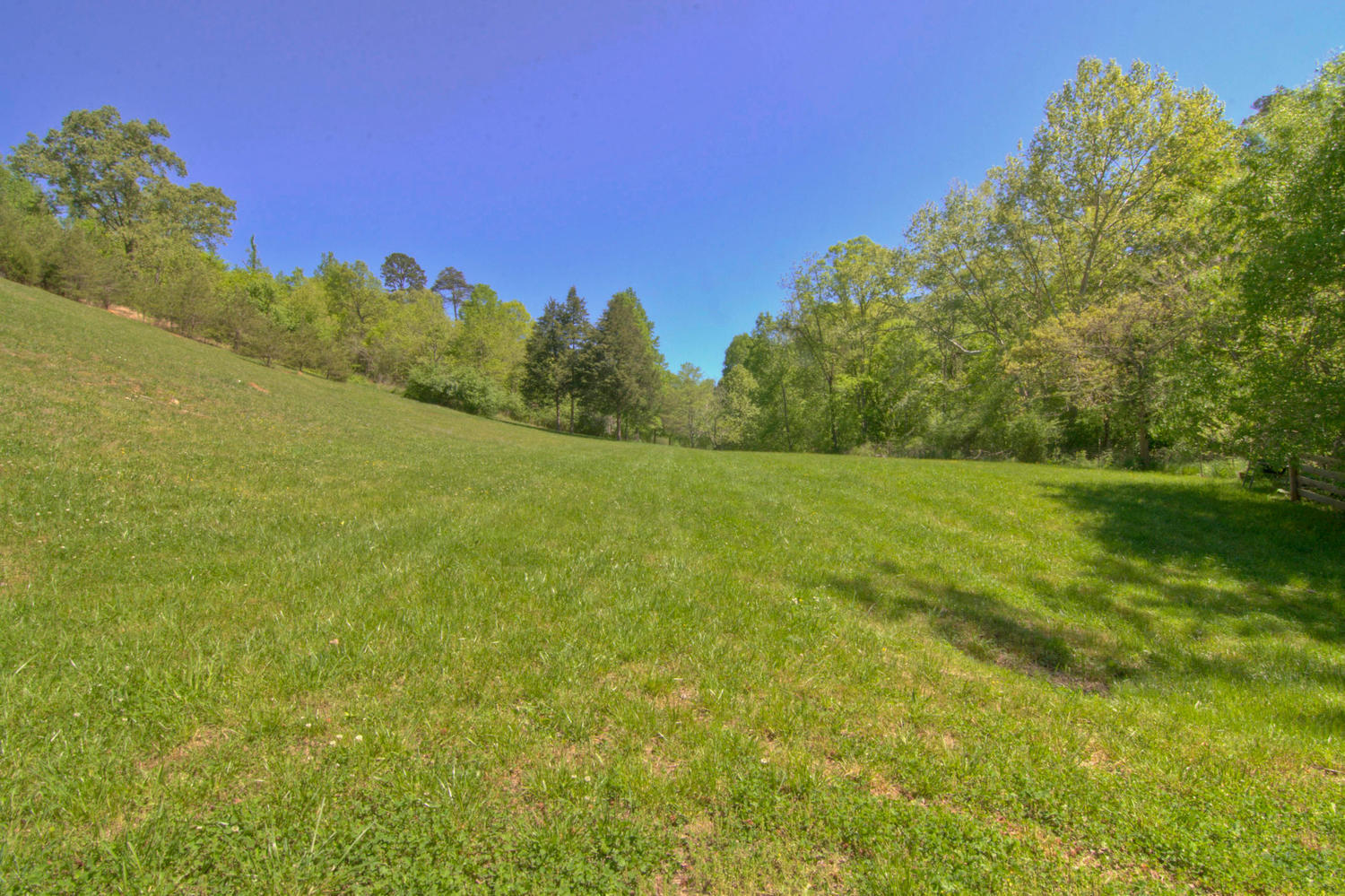 12627 Early Road Knoxville, TN 37922 - Photo 33 of 34 12627 Early Rd Knoxville TN-large-004-11