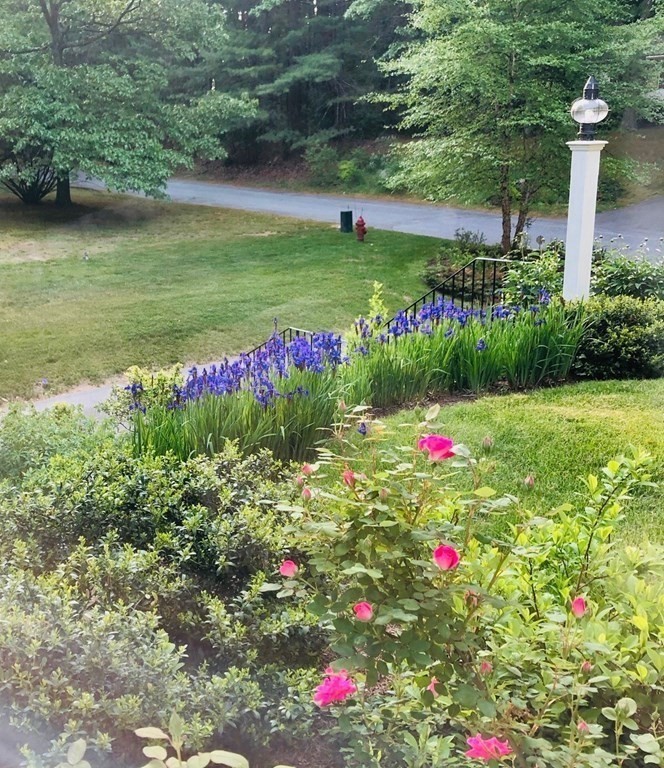 20 Dunster Road Sudbury, MA 01776 - Photo 29 of 30 Gallery Image 29
