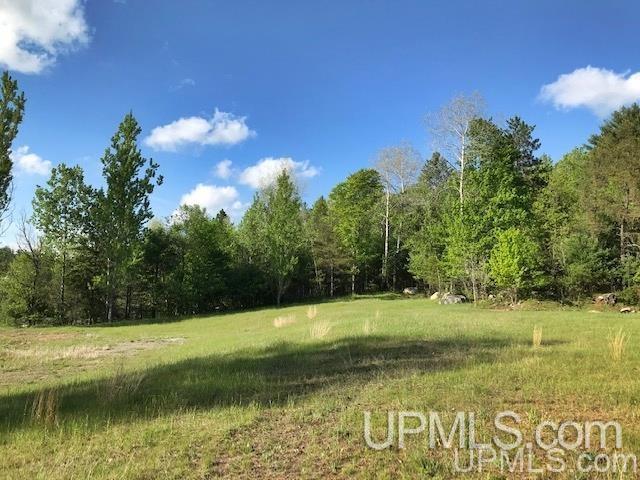 N19382 Co Road Pembine, WI 54156 - Photo 6 of 10