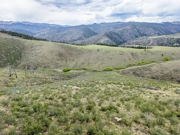$99,350 | 208 Little Bald Mountain Court, Livermore, CO 80536