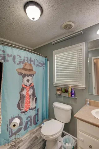 a bathroom with a toilet a sink and a mirror