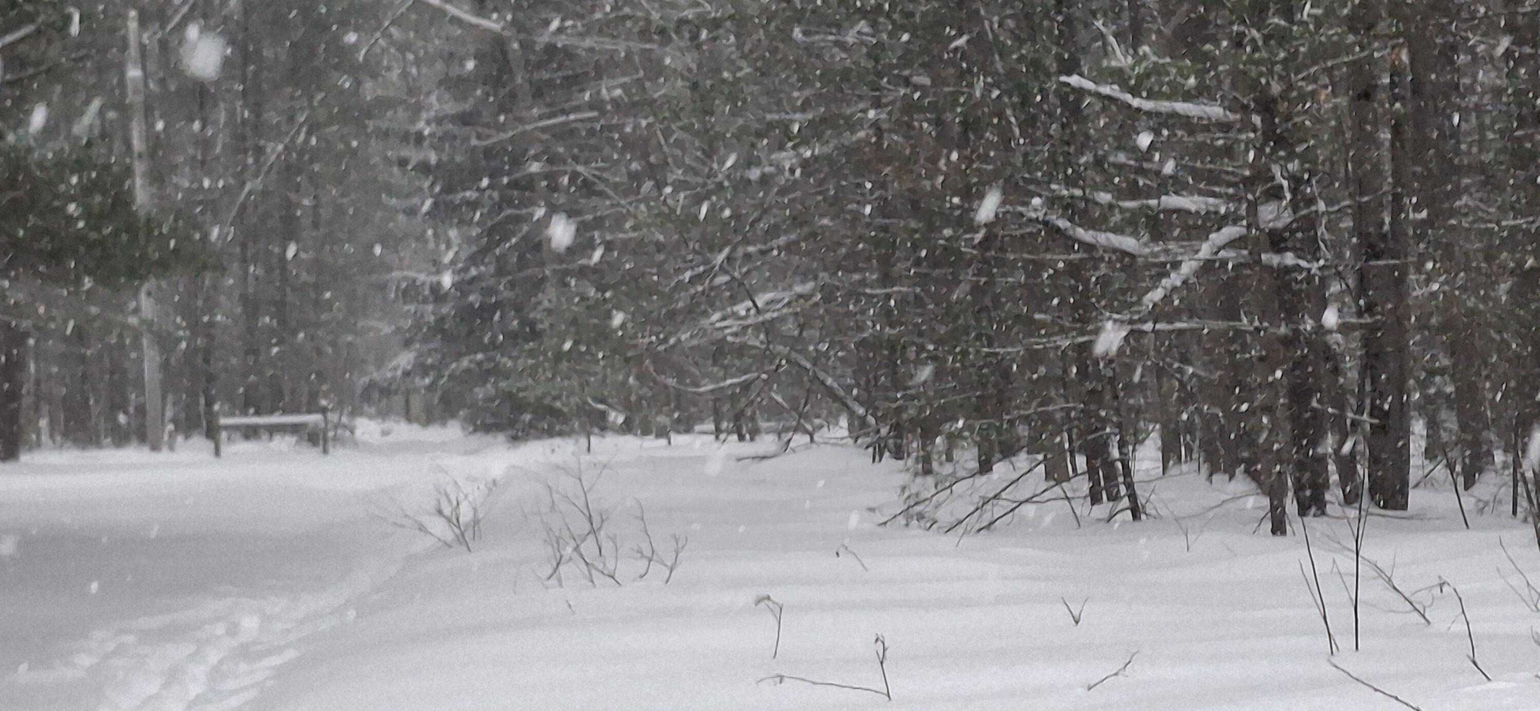 151 Skocelas Road North Manistee, MI 49660 - Photo 14 of 21 20260101_163538