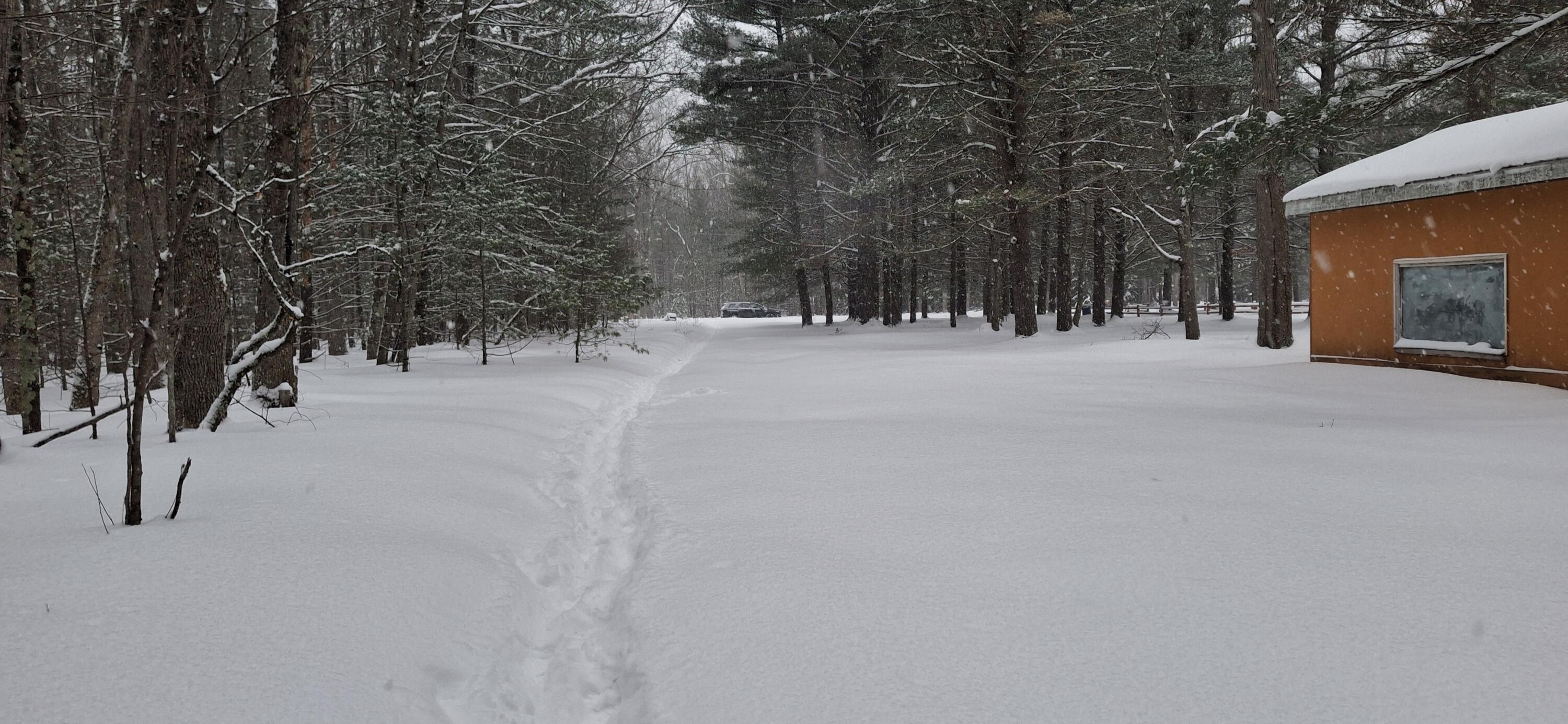 151 Skocelas Road North Manistee, MI 49660 - Photo 15 of 21 20260101_163222