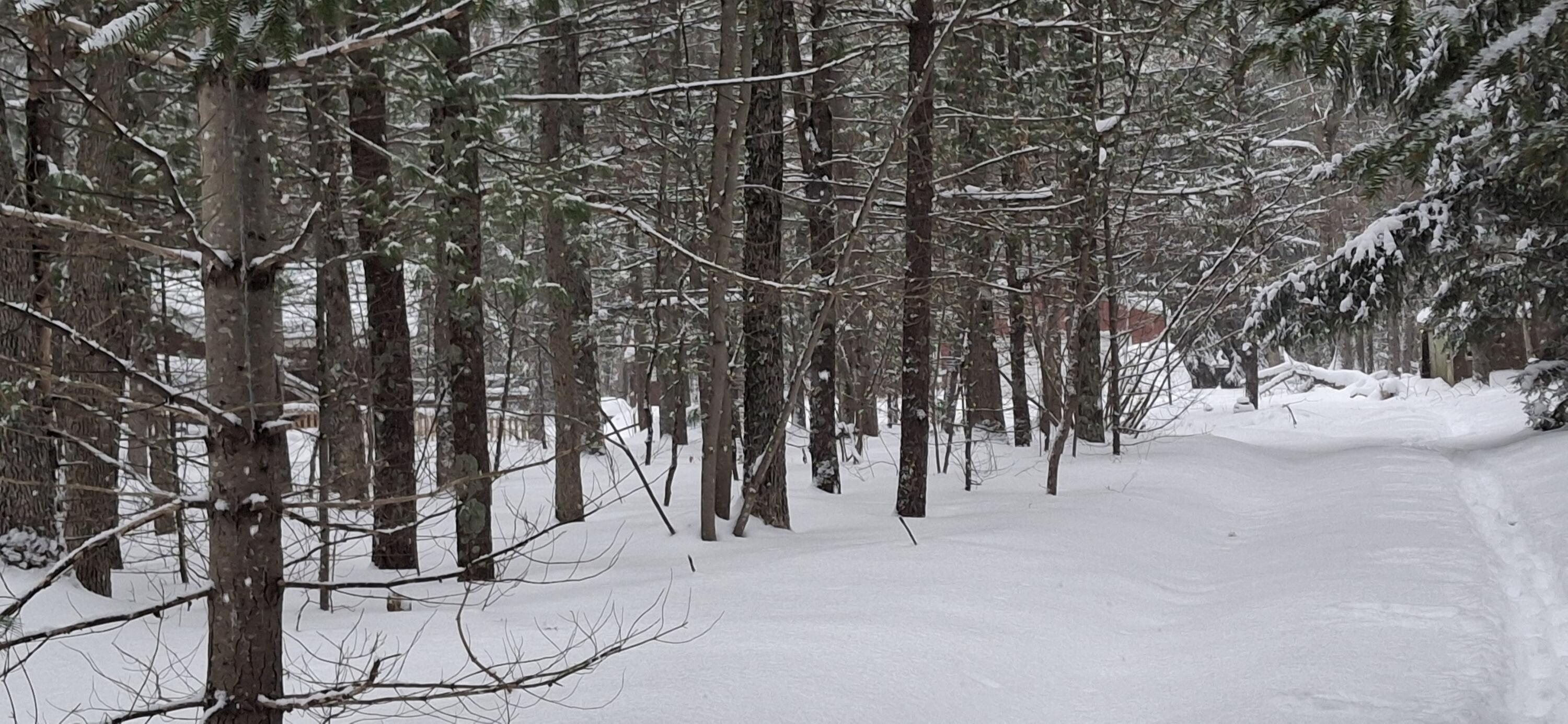 151 Skocelas Road North Manistee, MI 49660 - Photo 16 of 21 20260101_163205