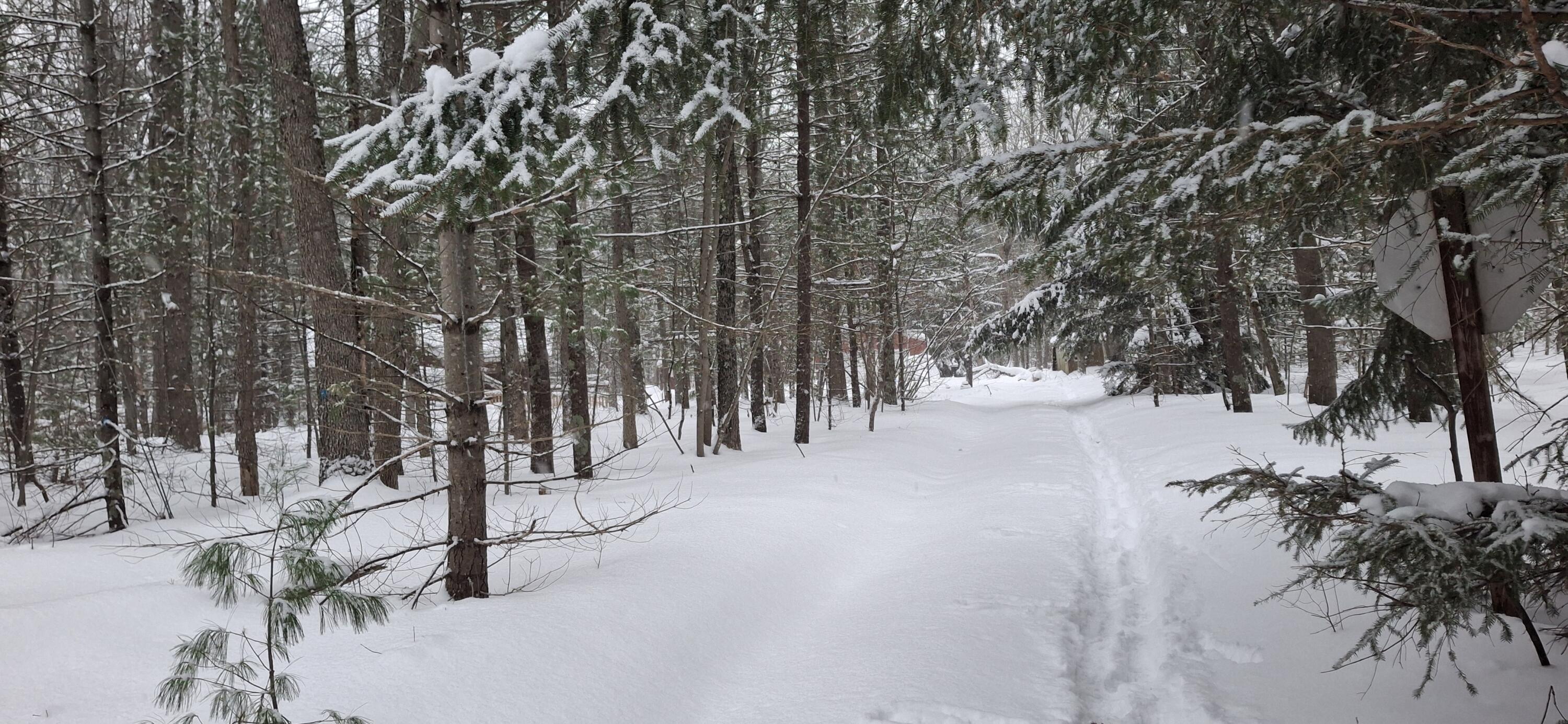 151 Skocelas Road North Manistee, MI 49660 - Photo 17 of 21 20260101_163155