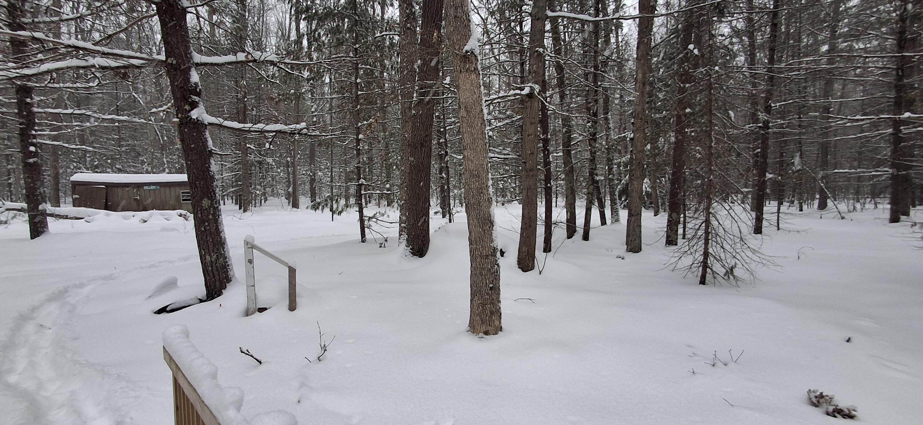 151 Skocelas Road North Manistee, MI 49660 - Photo 20 of 21 20260101_162232