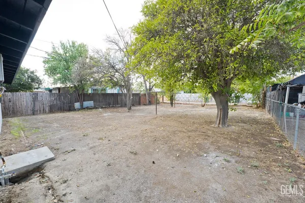 a view of a yard with a tree