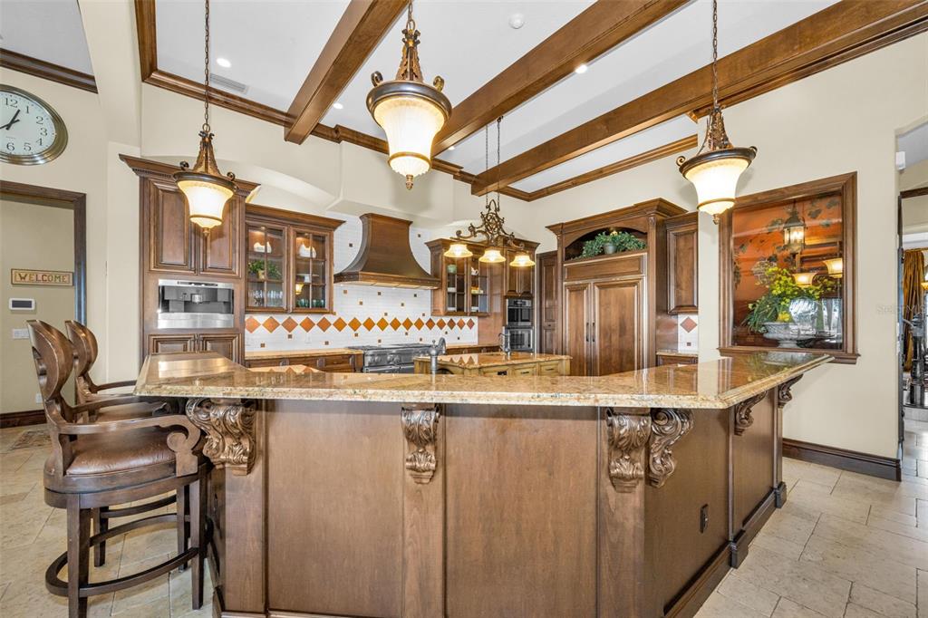 10031 Milano Drive Trinity, FL 34655 - Photo 24 of 100
