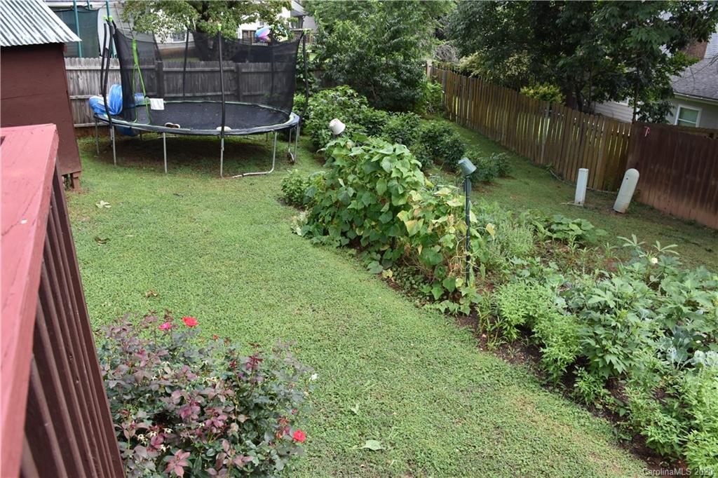 7121 Rena Mae Lane Charlotte, NC 28227 - Photo 21 of 21 a view of a backyard with plants