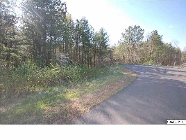 32 Guildford Farm Road Ruckersville, VA 22968 - Photo 4 of 12 a black and white photo of a forest