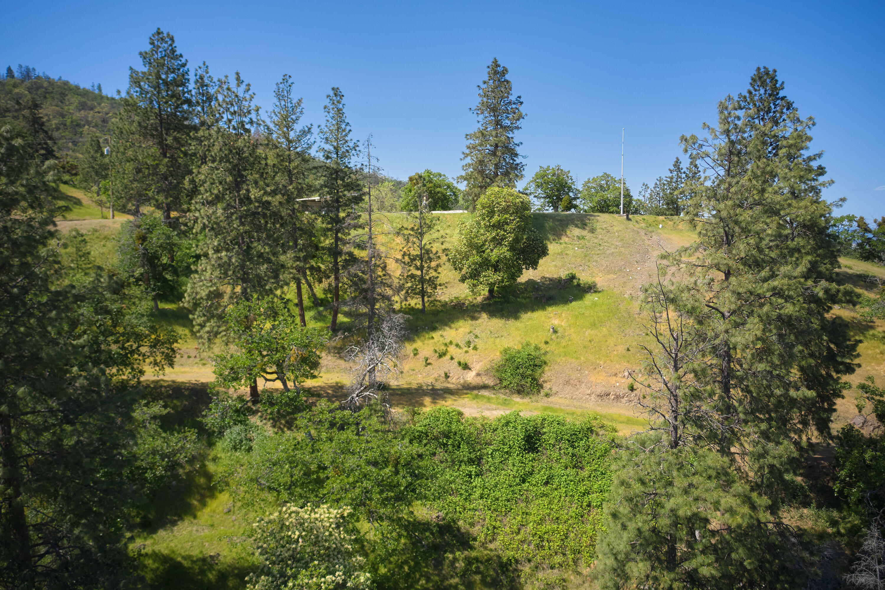 6318 Adams Road Talent, OR 97540 - Photo 8 of 39 6318 Adams Rd 5-2 adds-12