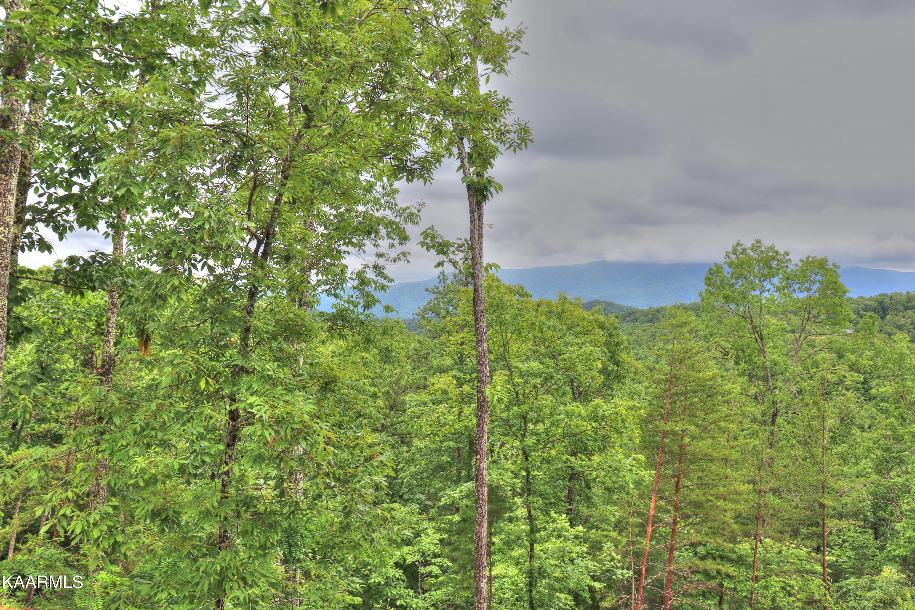 Lot 15 Stackstone Road Sevierville, TN 37862 - Photo 13 of 24 View from the neighbors down the street