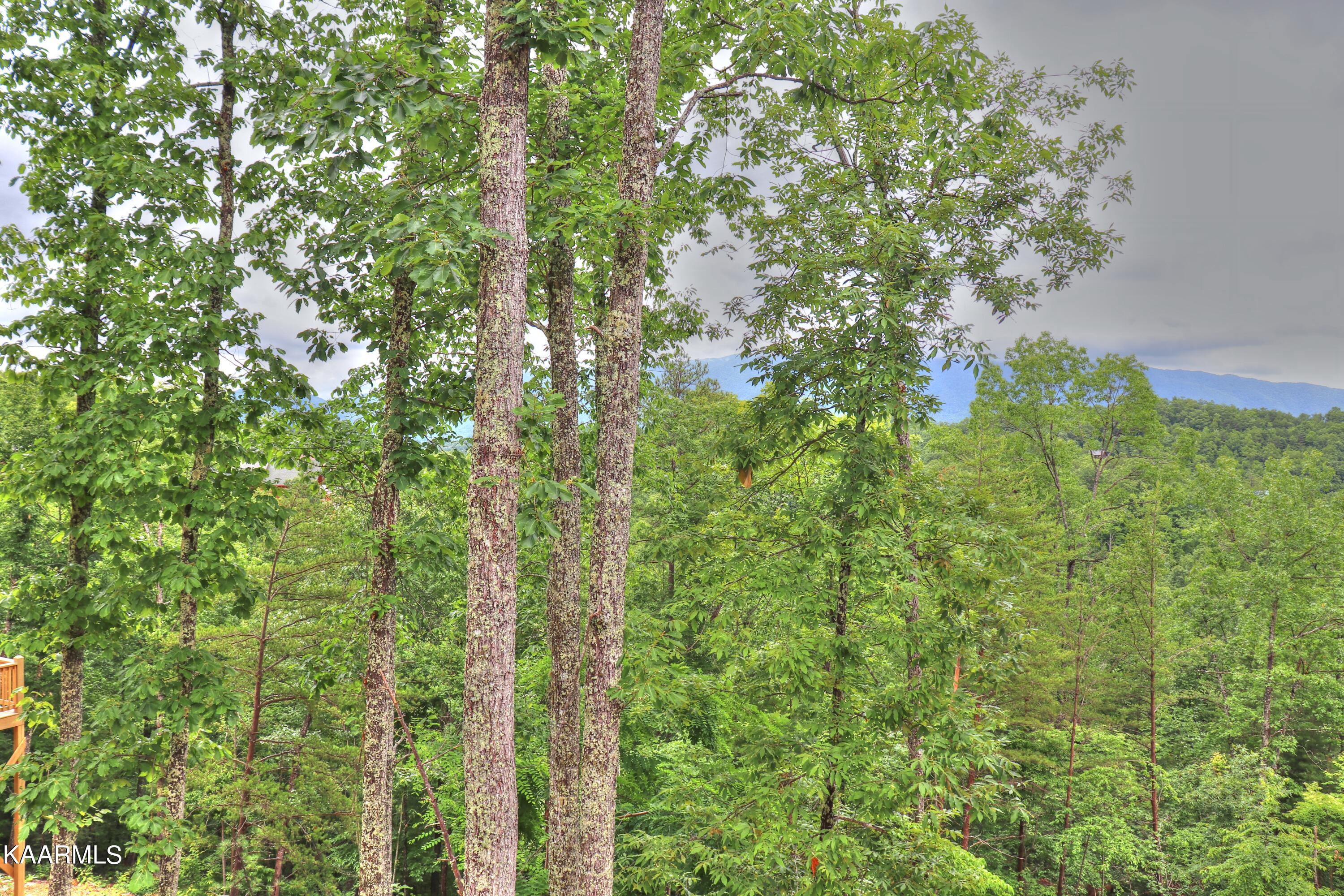 Lot 15 Stackstone Road Sevierville, TN 37862 - Photo 14 of 24 View from the neighbors down the street