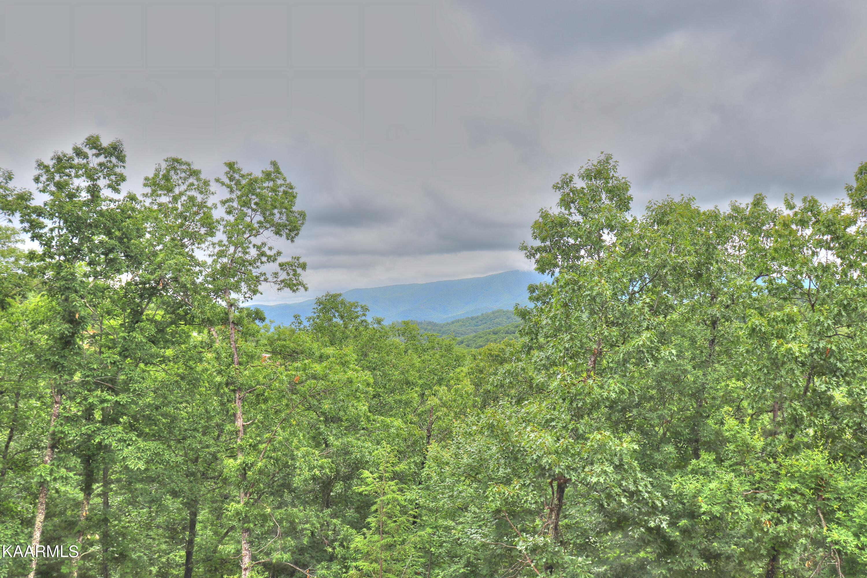 Lot 15 Stackstone Road Sevierville, TN 37862 - Photo 15 of 24 View from the neighbors down the street