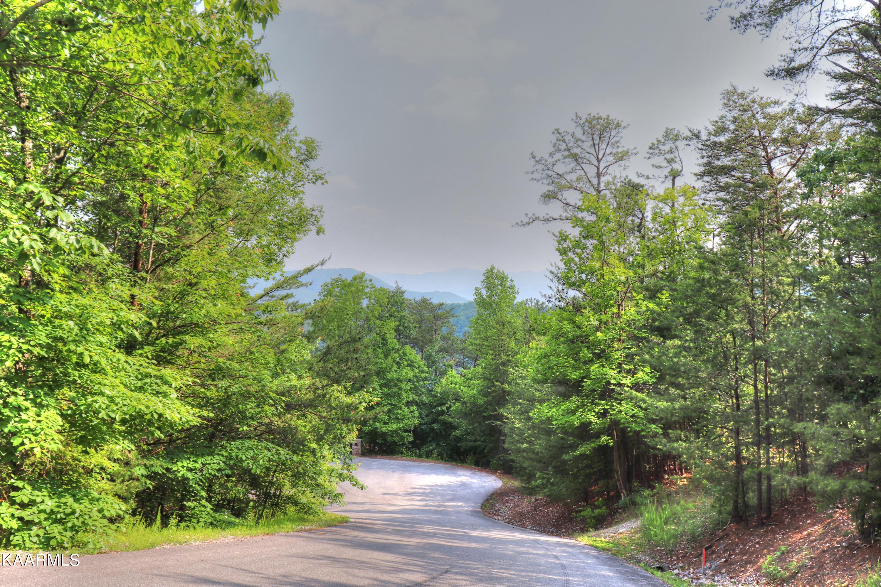 Lot 15 Stackstone Road Sevierville, TN 37862 - Photo 5 of 24 Lot on left - 310 feet of road frontage
