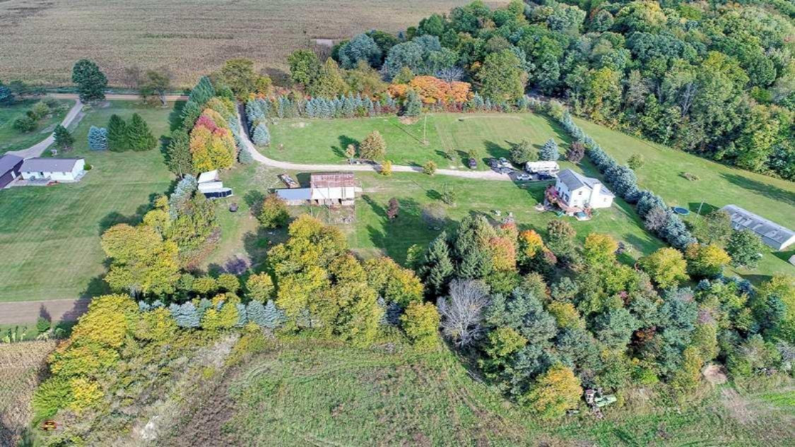 4400 Badger Road Lyons, MI 48851 - Photo 6 of 39 Aerial