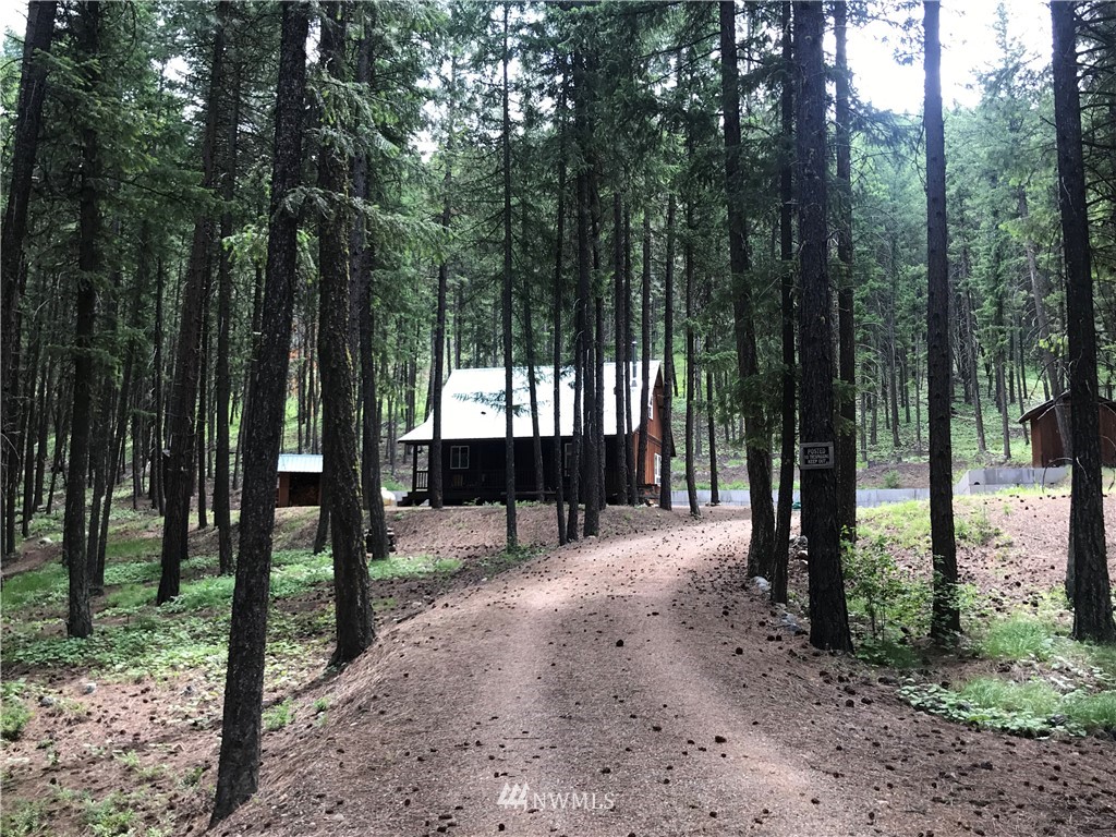 35 Sky Ranch Road Twisp, WA 98856 - Photo 2 of 19 Gallery Image 2