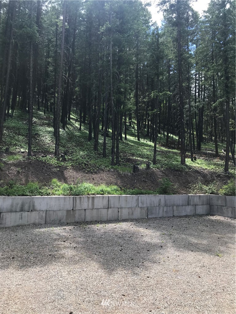 35 Sky Ranch Road Twisp, WA 98856 - Photo 17 of 19 Gallery Image 17