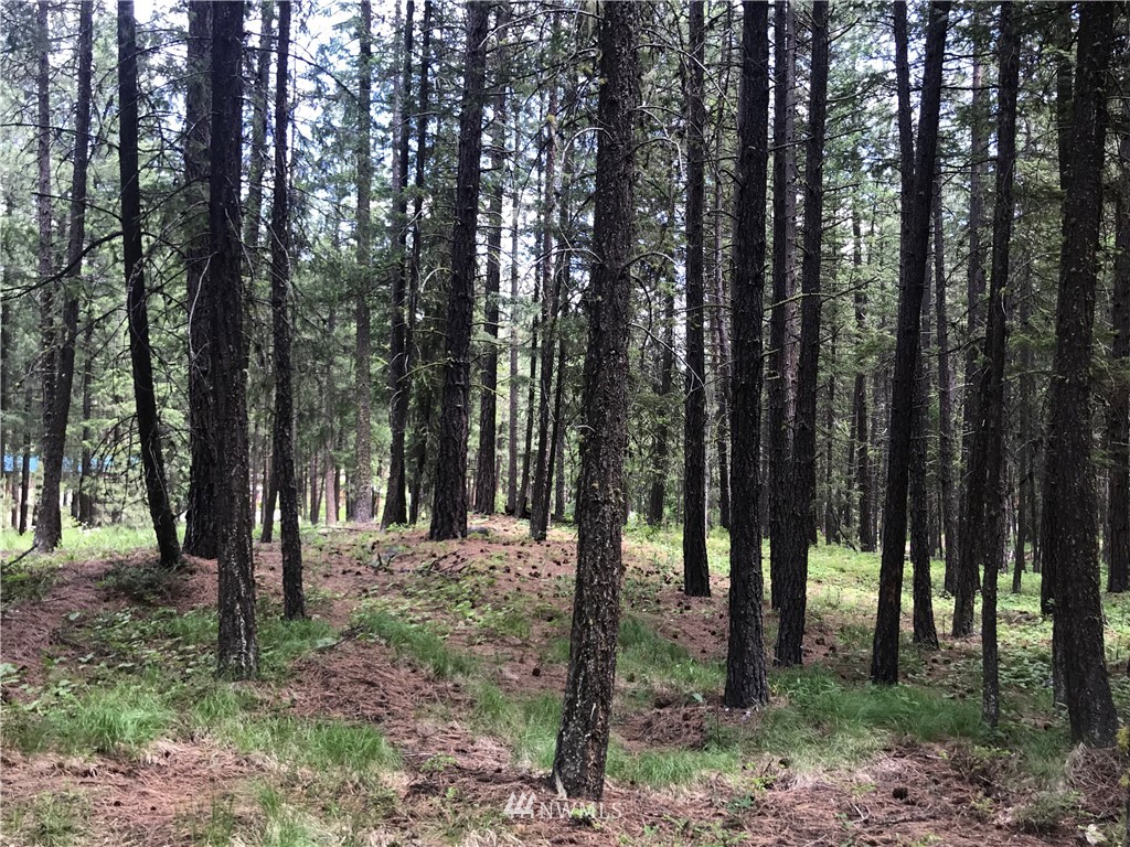 35 Sky Ranch Road Twisp, WA 98856 - Photo 19 of 19 Gallery Image 19