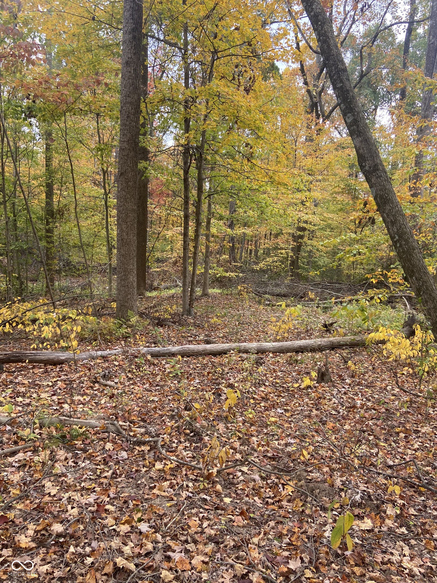 4442 Jordan Village Road Poland, IN 47868 - Photo 5 of 13 Gallery Image 5