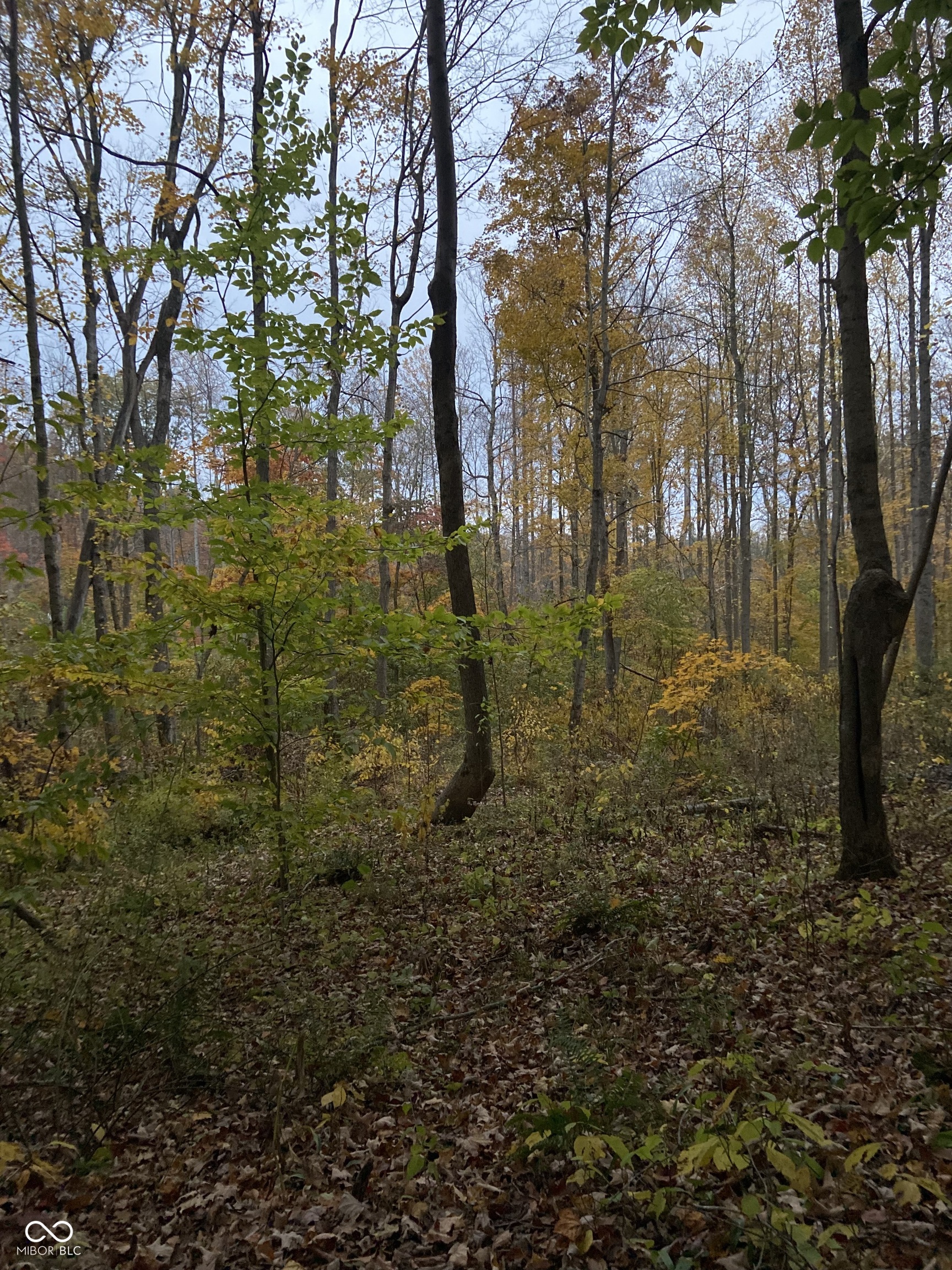 4442 Jordan Village Road Poland, IN 47868 - Photo 6 of 13 Gallery Image 6