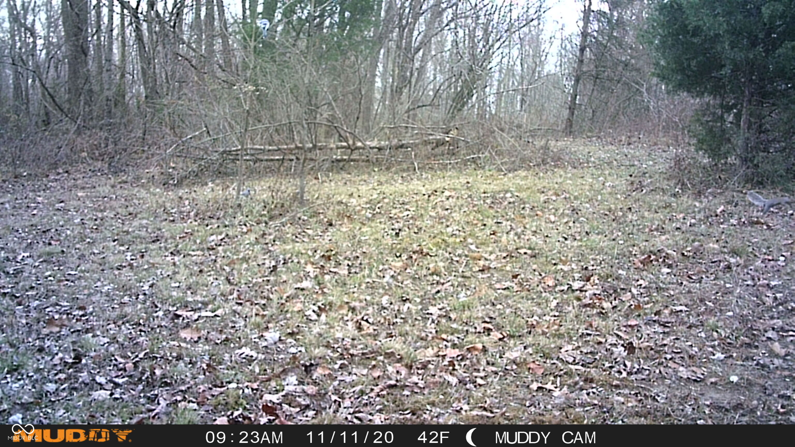4442 Jordan Village Road Poland, IN 47868 - Photo 8 of 13 Gallery Image 8