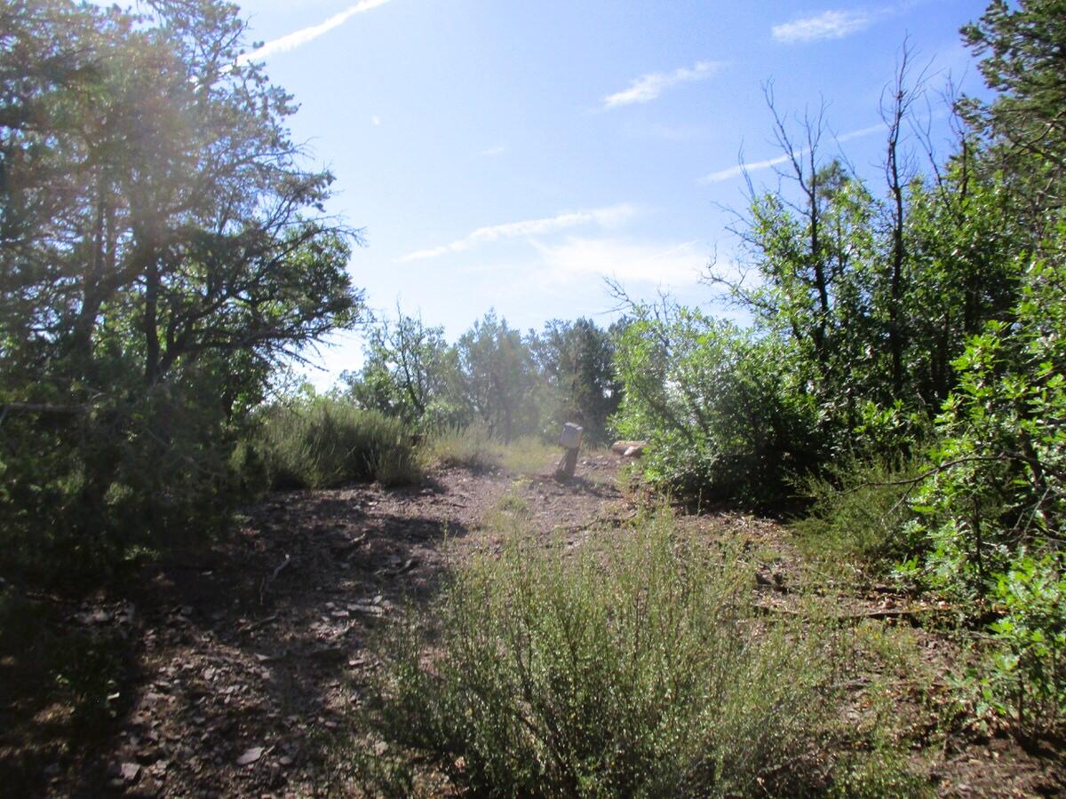 5-6 Black Bear Road Ramah, NM 87321 - Photo 26 of 64 Gallery Image 26
