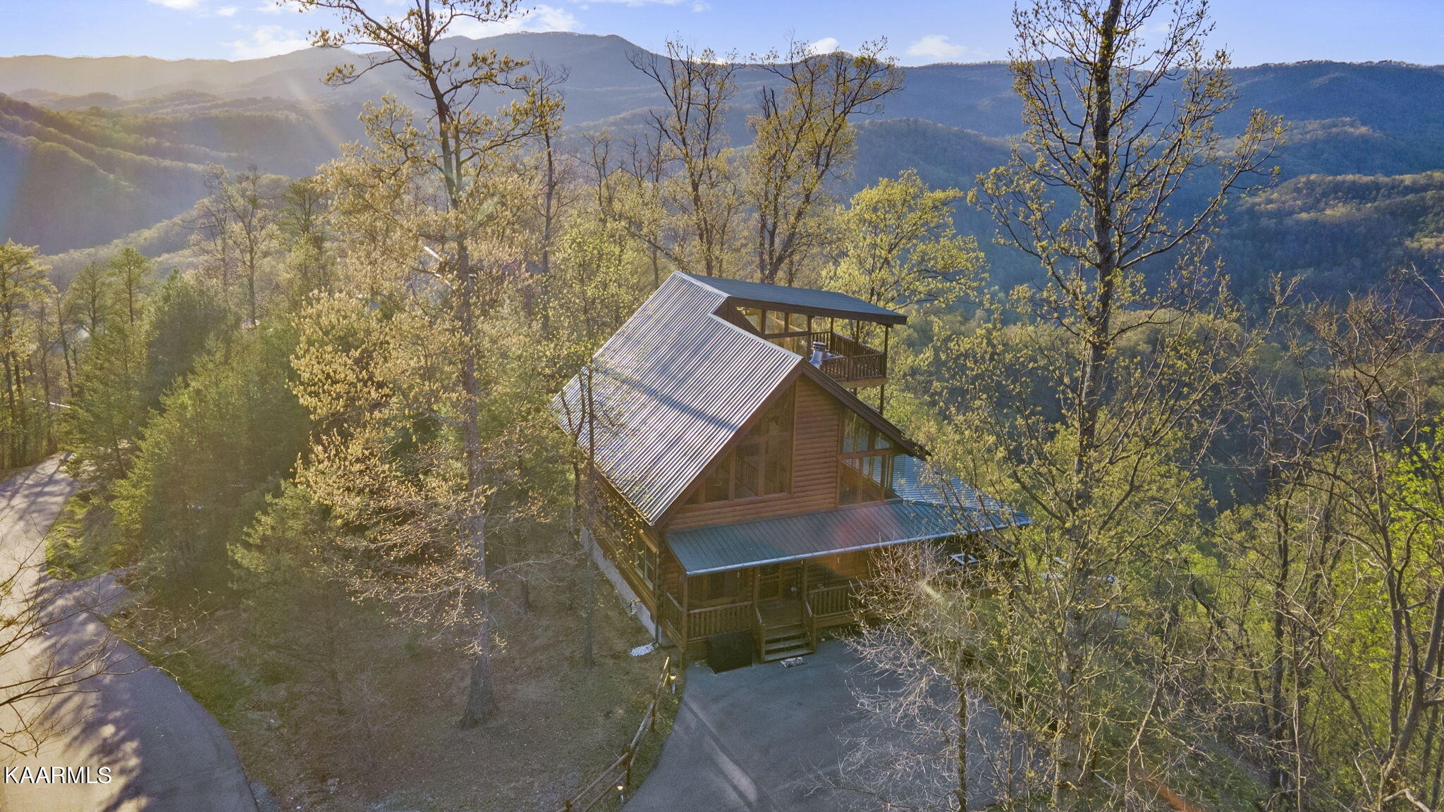 Gallery Image 5