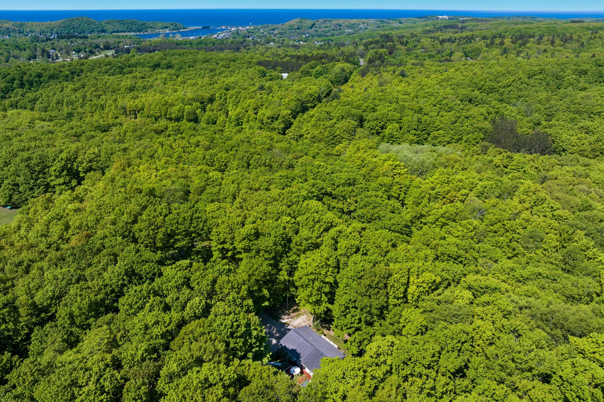 2057 Glory Road Frankfort, MI 49635 - Photo 7 of 58