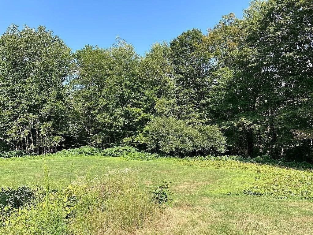 270 Wendell Depot Road Wendell, MA 01379 - Photo 39 of 42 a view of a garden with trees