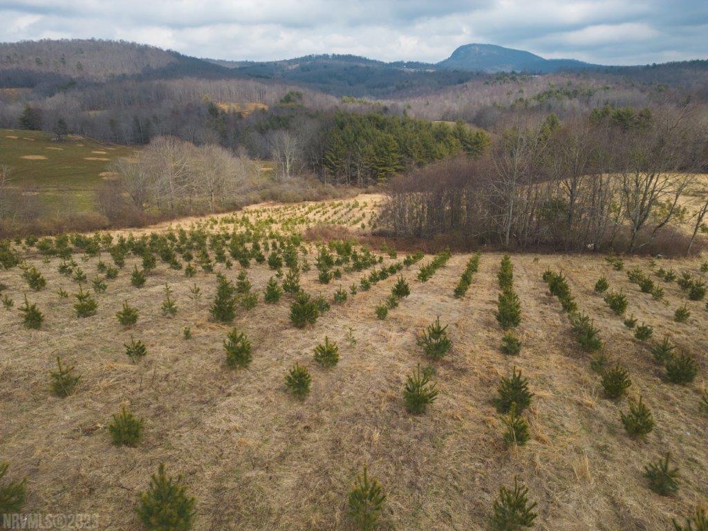 3 Long Mountain Road Southwest Willis, VA 24380 - Photo 2 of 66 Gallery Image 2