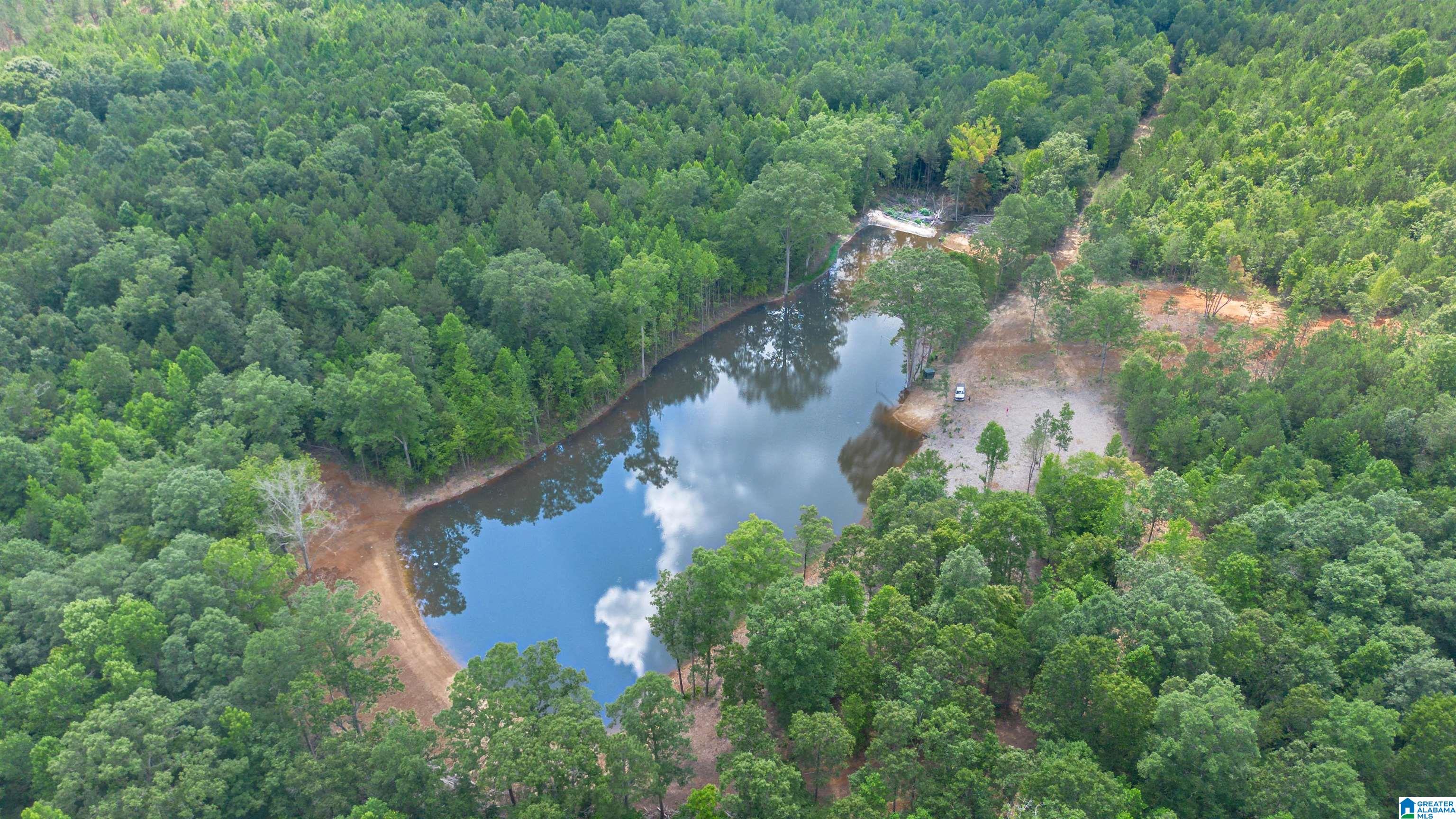 Vineyard Road, Unit 1 2 4 5 6 Fruithurst, AL 36262 - Photo 11 of 19