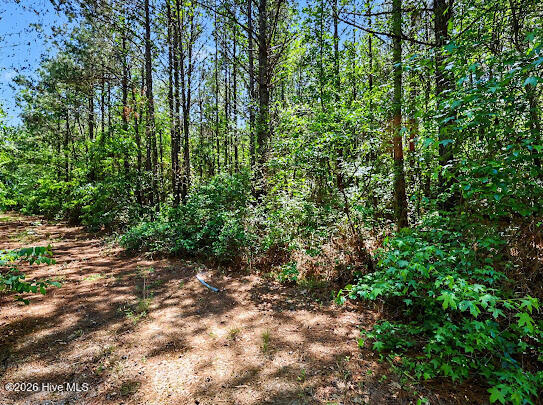 4.47-ac Purdy Matthews Road Wade, NC 28395 - Photo 23 of 25