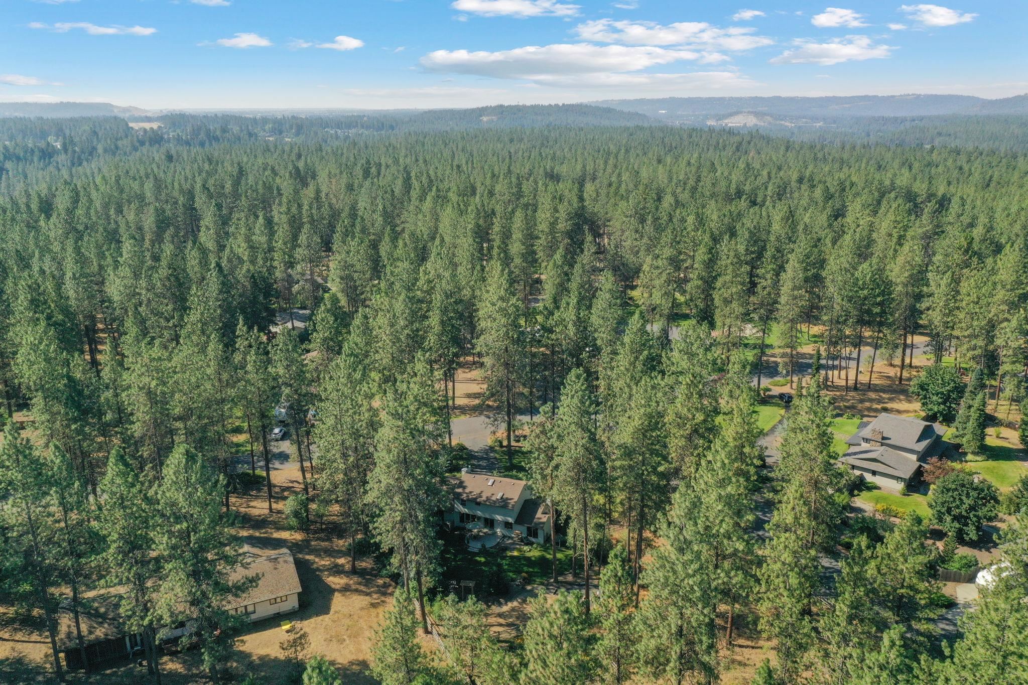 3611 East Pine Needle Avenue Colbert, WA 99005 - Photo 49 of 50